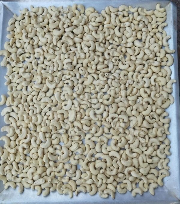 Raw Cashews
