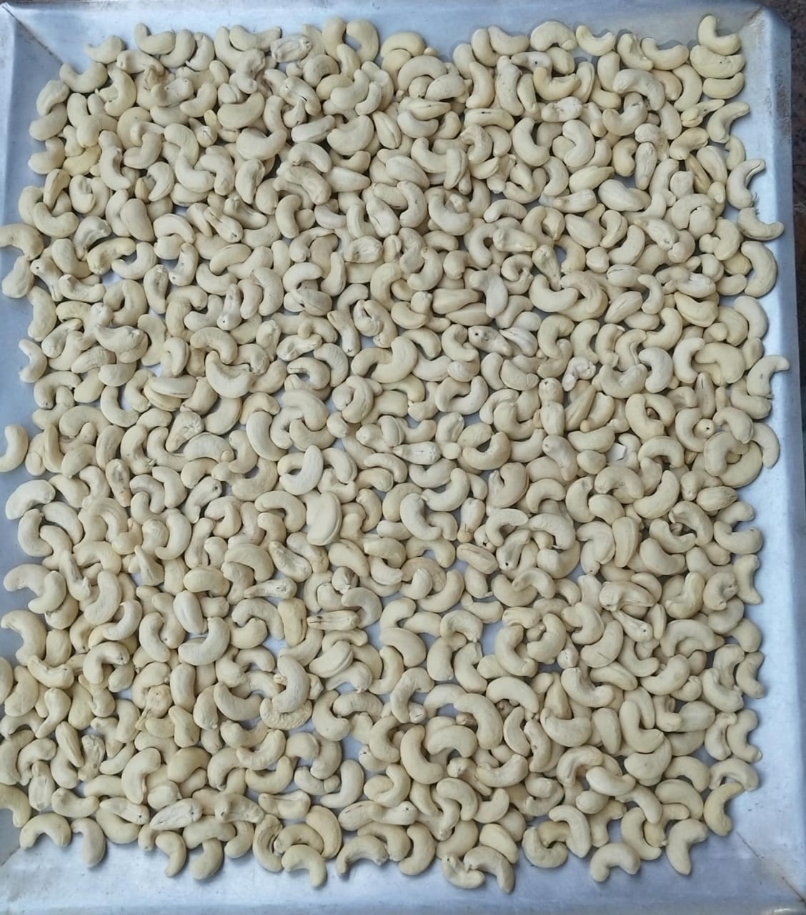 Raw Cashews